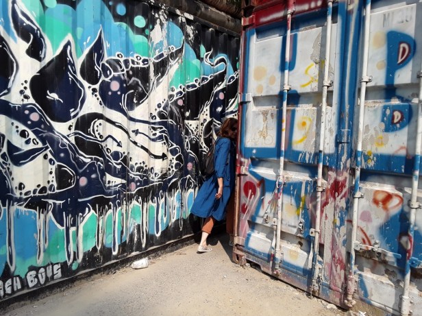 D'Irkoutsk à Beijing