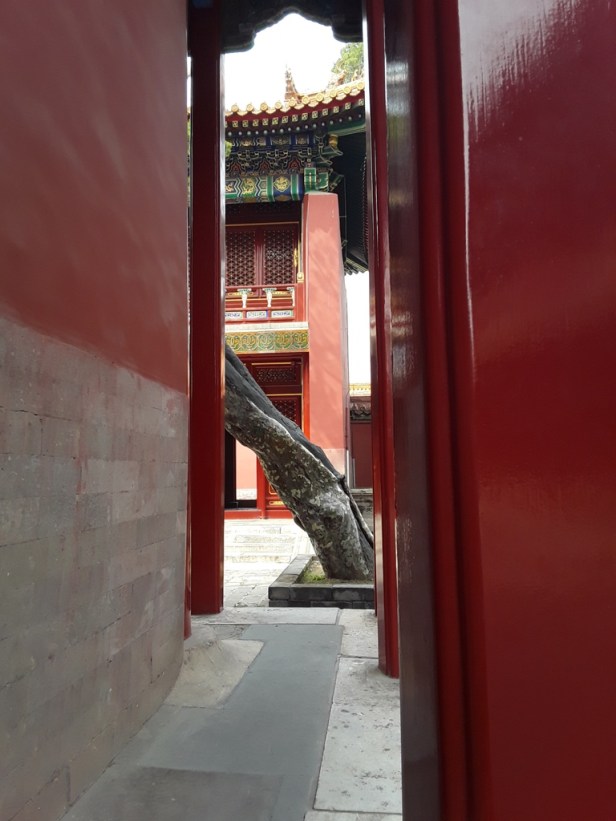 muriel-lafabregue-transsiberien-33