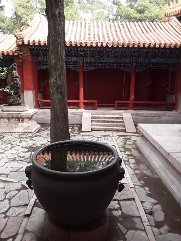 D'Irkoutsk à Beijing